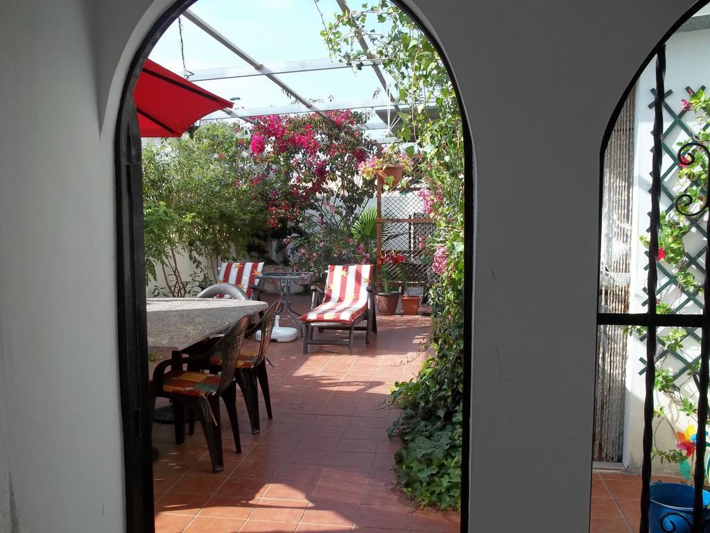 Madamme Curie Apartment 또레비에하 외부 사진