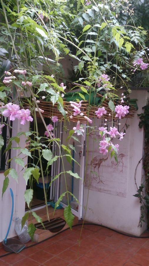 Madamme Curie Apartment 또레비에하 외부 사진