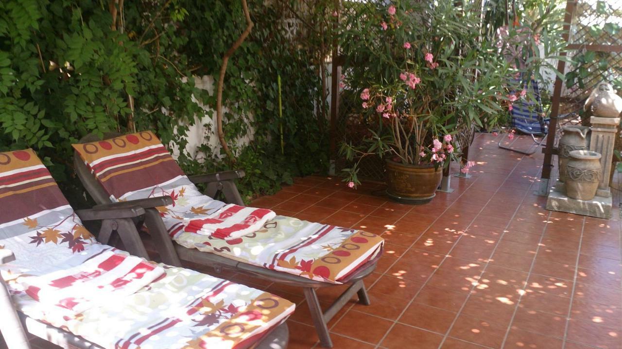 Madamme Curie Apartment 또레비에하 외부 사진